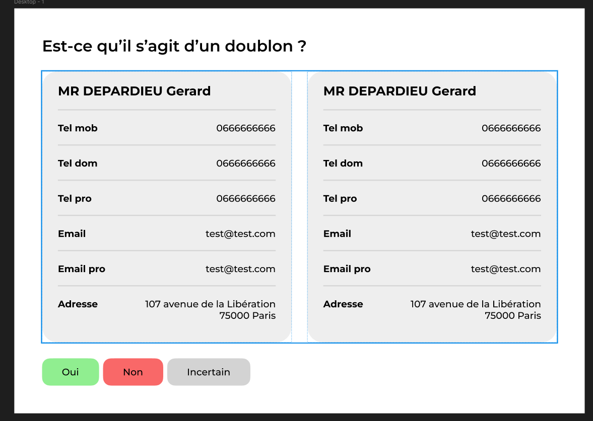 Interface d'exemple pour l'annotation des doublons